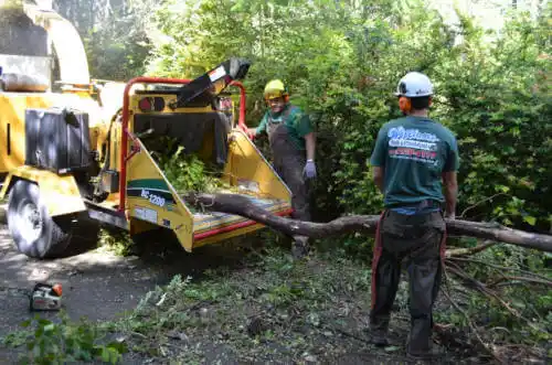 tree services Orange Beach